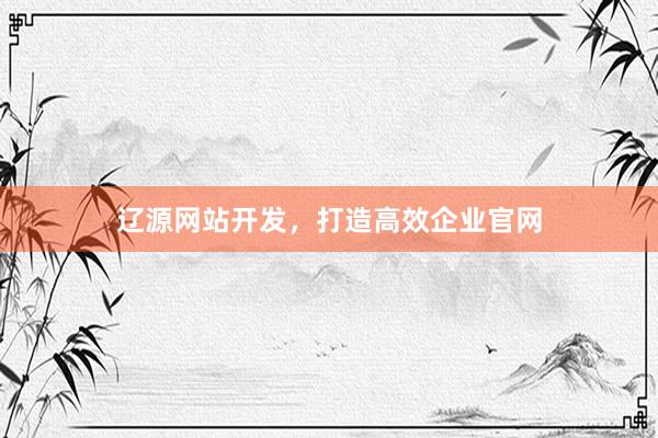 辽源网站开发，打造高效企业官网