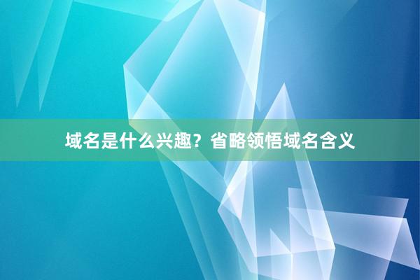 域名是什么兴趣？省略领悟域名含义