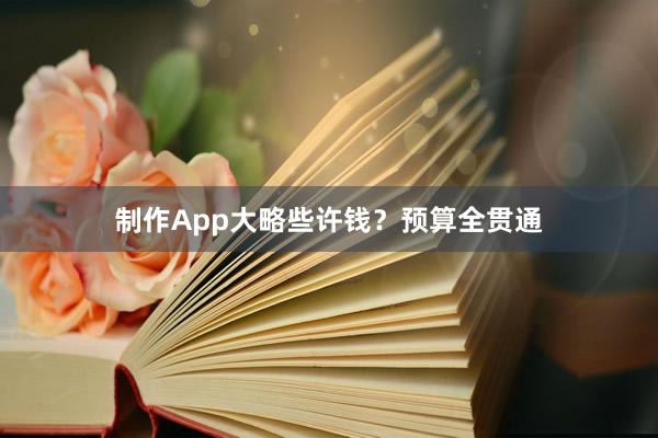制作App大略些许钱？预算全贯通