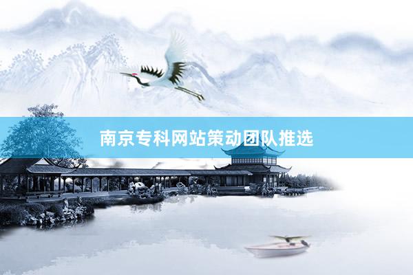 南京专科网站策动团队推选