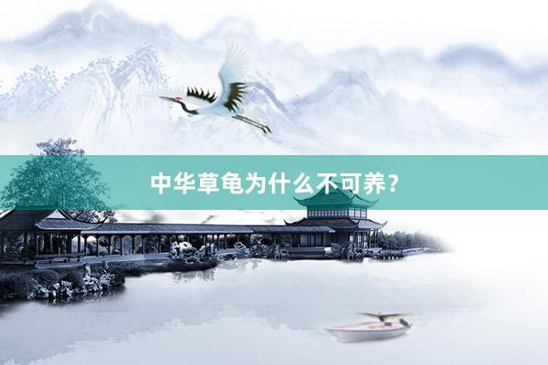 中华草龟为什么不可养？